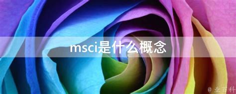 MSCI定义及含义解析 4