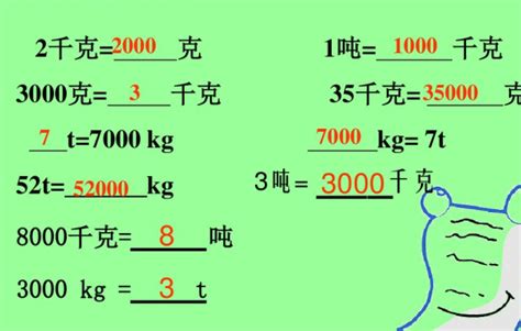 0.8公斤转换为克是多少 2