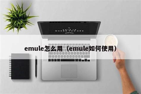 多途径高效搜索eMule收藏集的方法 3