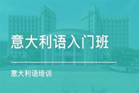 意大利使用的官方语言是什么 1