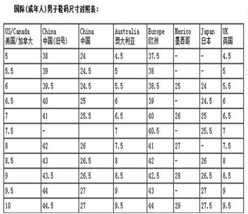 245鞋码对应多大尺码 3