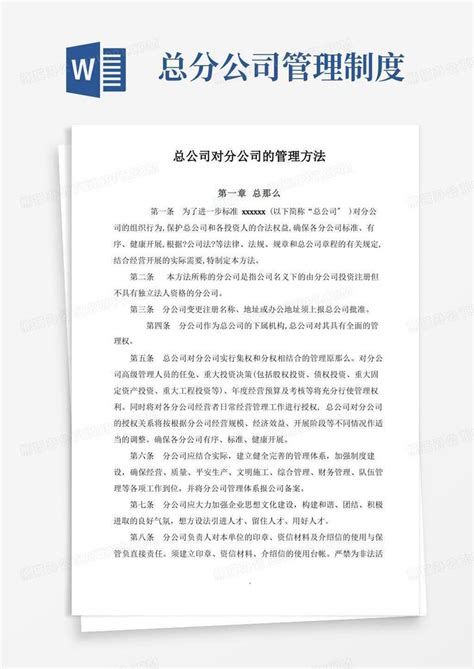 总公司高效管控分公司财务的策略与实践 4