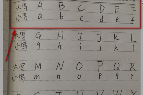 探索24个字母的奇妙世界：字母表全解析 2
