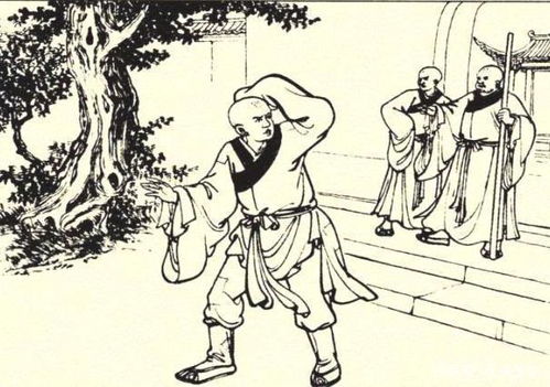 夜半钟声鸣，三更起行僧，暗指何生肖？ 2