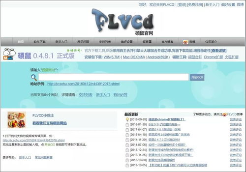 揭秘FLVCD：全面了解这个神奇工具是什么！ 3