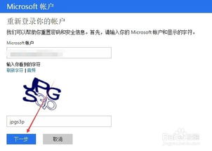 Microsoft官网登录步骤指南 2