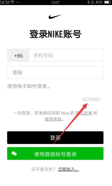 揭秘：分享Nike礼品卡密码的后果 3