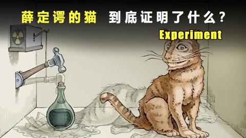 揭秘量子奇境：薛定谔的猫究竟是何方神圣？ 3