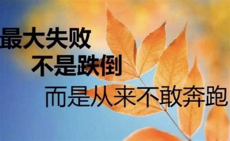 掌握秘诀：如何成为一个永不放弃的坚持者 5