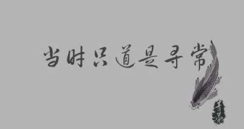 解析：'人生若只如初见，当时却视若平常'的深层含义 4