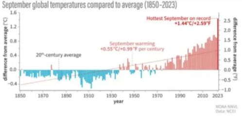 2023年“世界心脏日”具体日期是什么时候？蚂蚁庄园解答 2