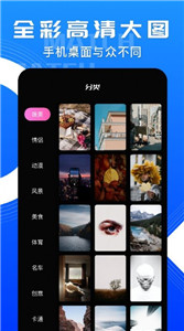 小鸟主题壁纸 1