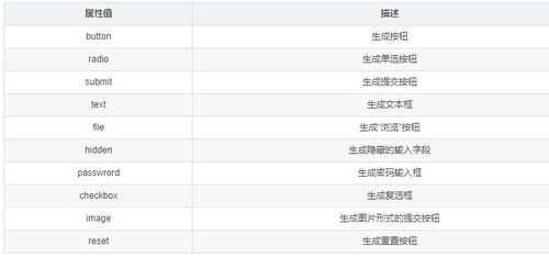 揭秘：input标签那些不可或缺的常用属性 1