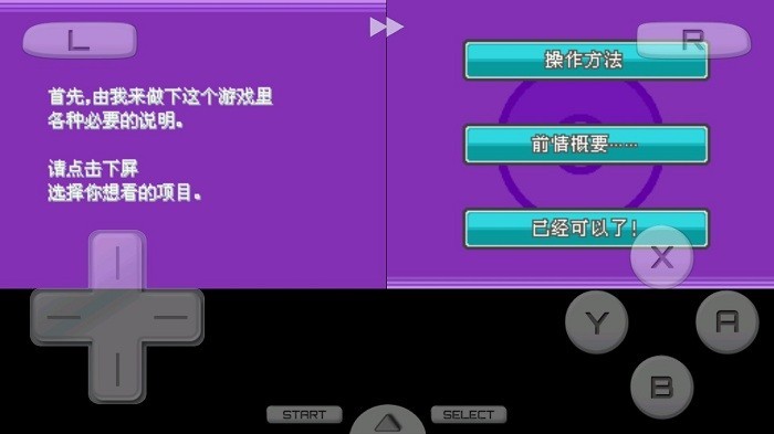 口袋妖怪启示录 1
