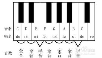 揭秘：bbox的基础音究竟有哪些？ 4