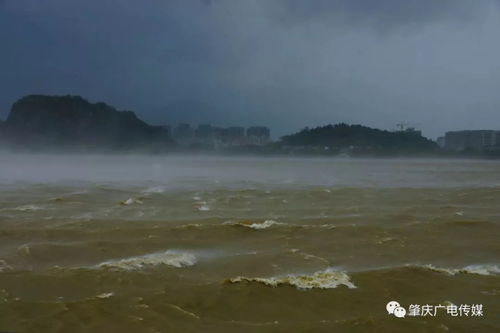 如何将'阴风怒号浊浪排空'进行翻译 1