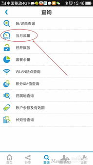 揭秘！轻松几步，掌握你的手机流量使用情况 2