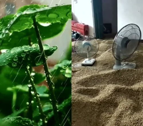 房间一直潮湿怎么办，因为总是下雨？ 1