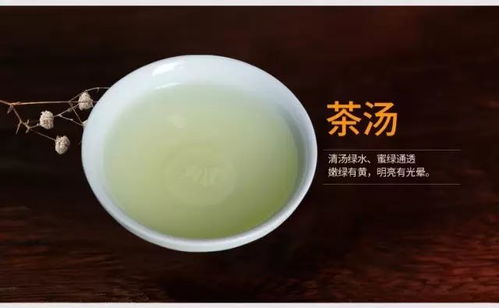 解锁铁观音冲泡秘籍，茶友亲授完美品鉴之道 3