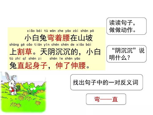 一年级小朋友如何用“山花”造句 2