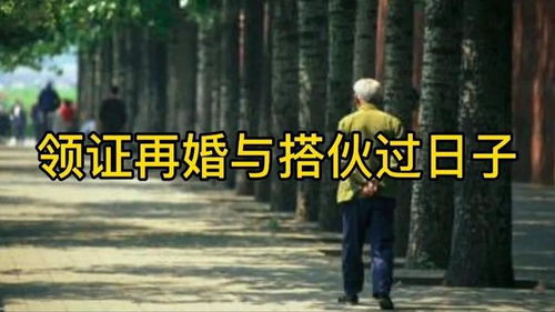 揭秘！《再见老张》精彩瞬间：具体第几期第几个，快来一探究竟！ 2