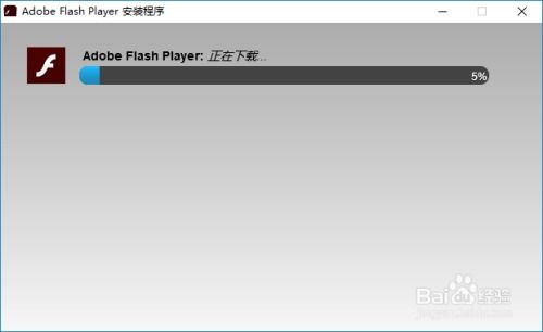 轻松掌握：如何安装Adobe Flash Player 3