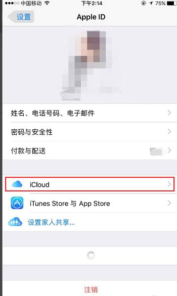 苹果手机为什么显示“无法备份你的iPhone”？ 3