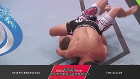 UFC 2010 PSP游戏：掌握冲刺技巧攻略 2