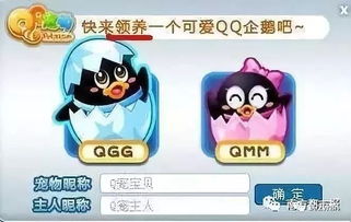 我和QQ：一段不容错过的精彩故事 4