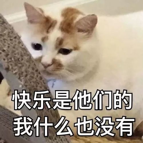 我的身份是什么？ 2