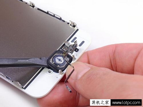 如何进行iPhone5s专业拆机图文解剖全过程？ 2