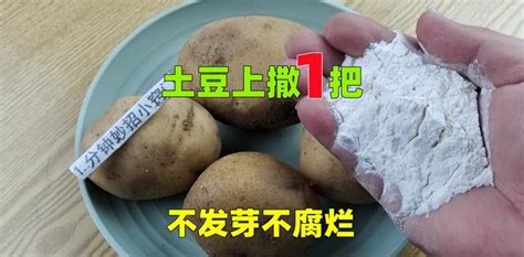 土豆怎样保存才能避免发芽和变绿？ 4