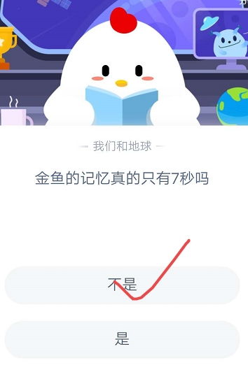 古人所说的“浮圆子”指的是什么？ 3