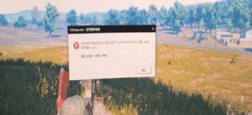 绝地求生游戏报错跳出怎么解决？ 4