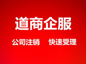 如何办理公司注销手续及所需费用概览？ 4