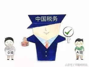 全面了解：什么是纳税人？ 3