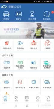 交管12123APP：轻松查询已处理违法记录指南 3