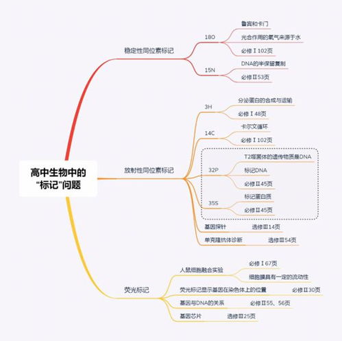 放射性同位素示踪法是由谁提出的？ 3