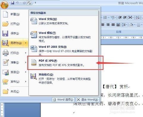 Word 2007文档轻松变身PDF秘籍！ 2