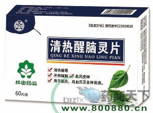 【古方新韵】揭秘琼玉膏：传统药材的神奇疗效 4