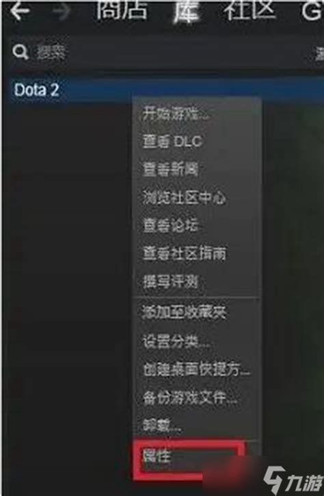 Dota2国服启动项设置指南：轻松解锁游戏新体验！ 1