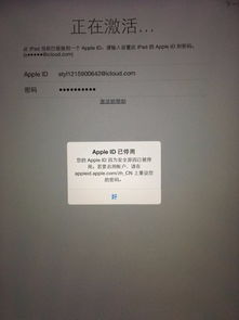 设置iPad儿童锁的方法指南 2