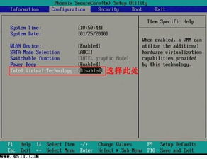 轻松解锁VT（CPU虚拟化）：开启教程来啦！ 3