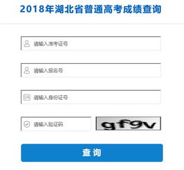 2018年高考成绩查询方法及步骤 2