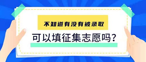 如何高效填写征集志愿指南 4
