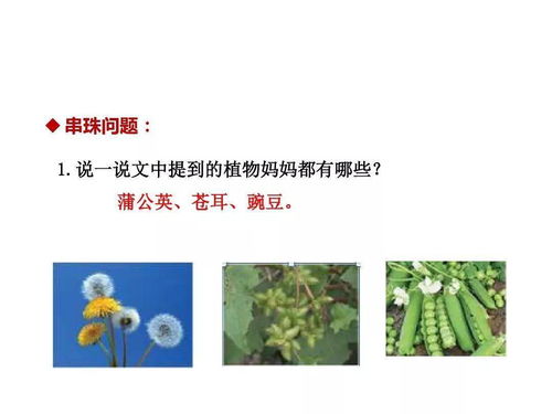 二年级学生如何了解植物传播种子的方法？ 3