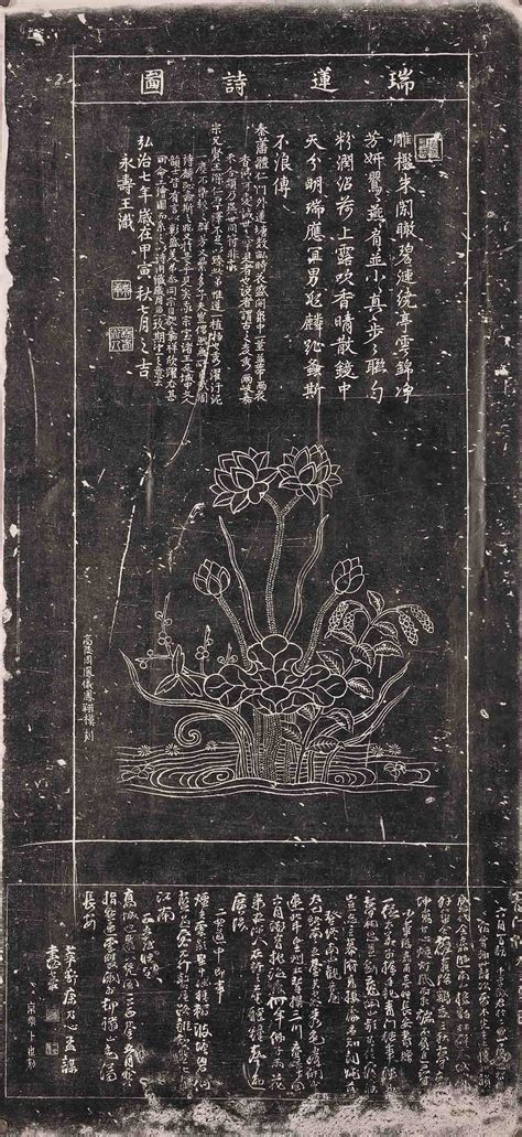 揭秘瑞莲：深度解析其含义与背后故事 4