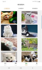 宠猫狗翻译 1