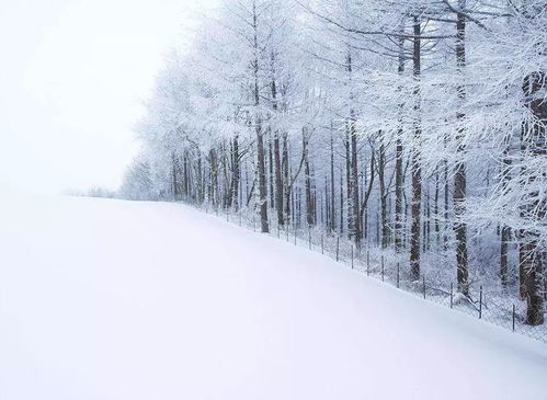 揭秘：雪花的奇妙诞生之旅 4