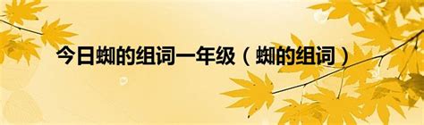 探索“蜘”字的多样组词！ 2